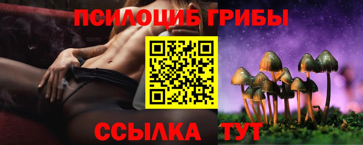 что такое наркотик  Вход с VPN  Псилоцибиновые грибы Magic Shrooms  Чебоксары  Галлюциногенные грибы Cubensis 