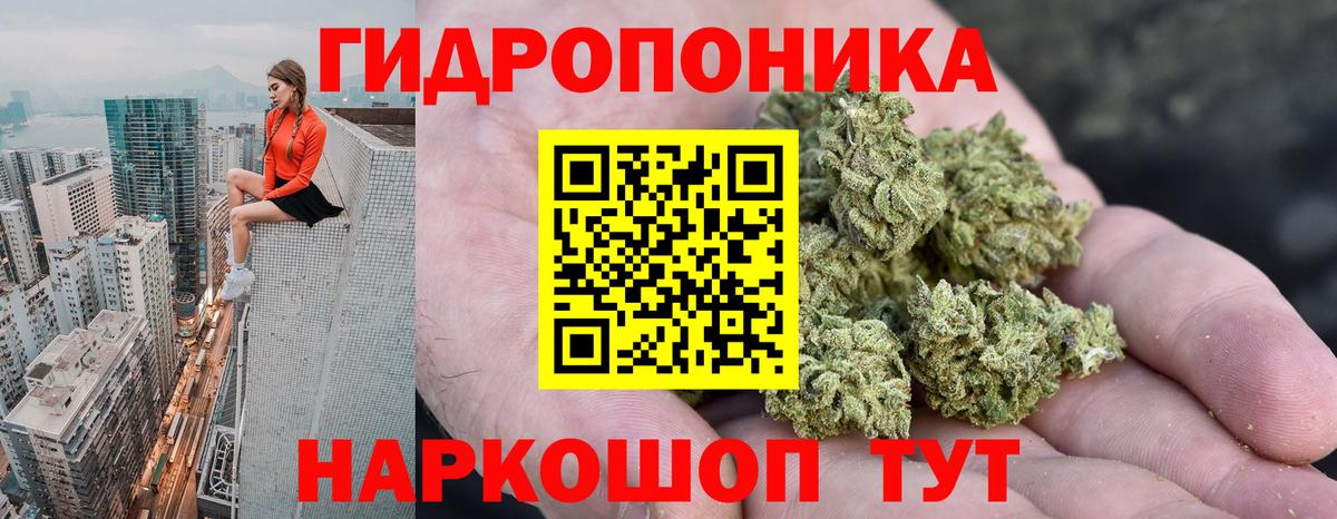 Бошки марихуана семена  Бошки Шишки White Widow  Вход с VPN  Чебоксары  Бошки марихуана White Widow  Бошки Шишки MAZAR 
